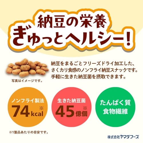 ヤマダフーズ ちょいつま納豆カレー味 18g×10
