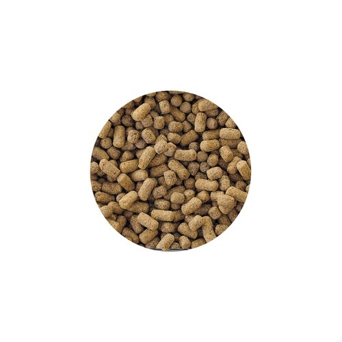 カメ元気ごちそうごはん特大粒500g