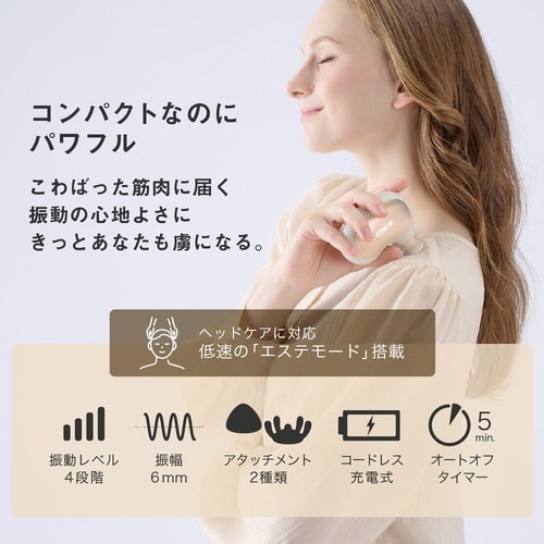 アルインコ ボディシェイプガン ビーン クリーム