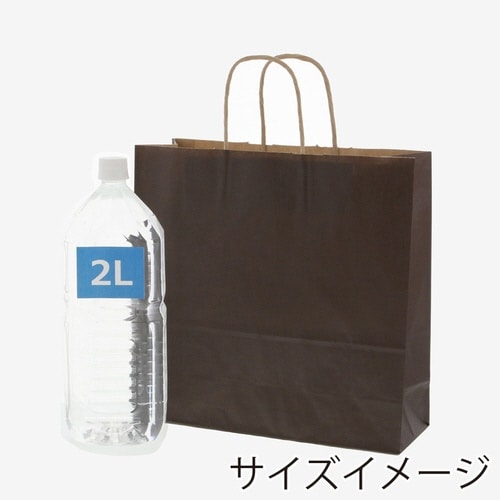 手提げ紙袋 25チャームバッグ 3才 未晒 焦茶C