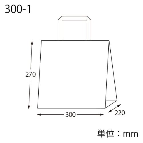 手提げ紙袋 NフラットCB 300−1 晒白無地