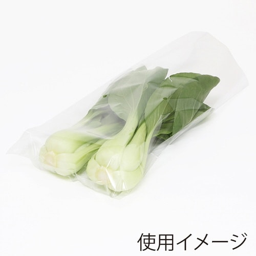 ポリ袋ボードンパック#2011L穴有100枚×20
