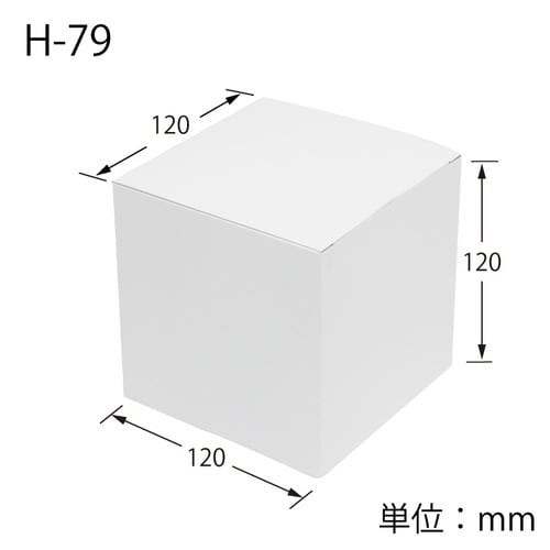 箱 白無地箱 H−79 サック式