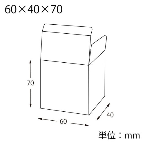 箱 クリスタルBOX V 60×40×70