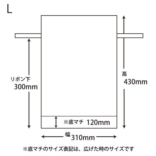 不織布巾着袋 FバッグWシャンテタイプL ブラウン