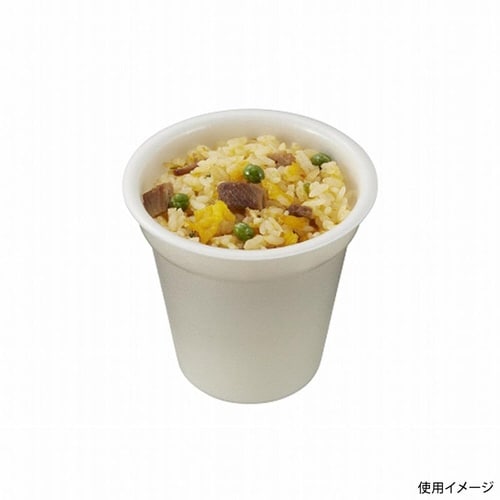 TPグラカップ M100 IV 身