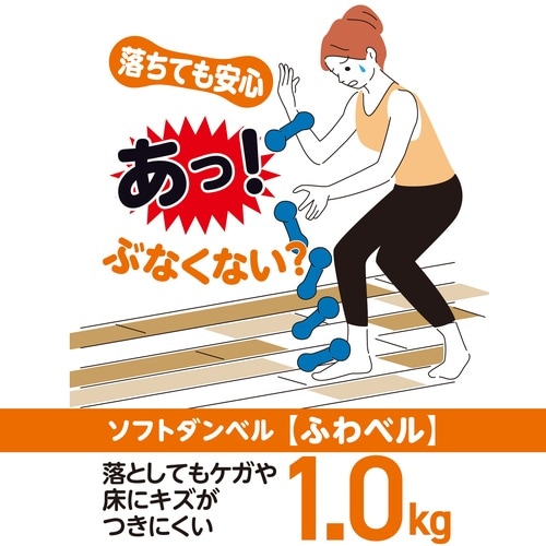 ソフトダンベル1.0kg