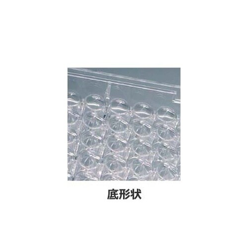 テストプレート 96well V底 P.