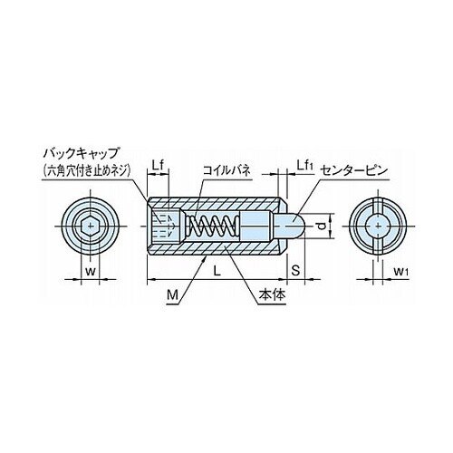 プランジャー スプリングプランジャー P