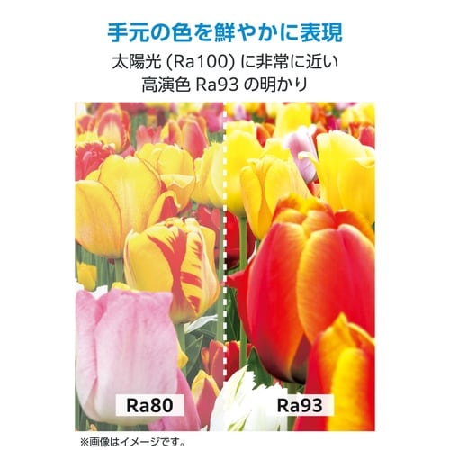 モニターライト 掛け式 45cm Ra93 黒