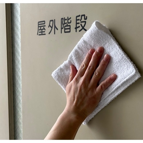 使い捨てにもぴったり雑巾 60枚入