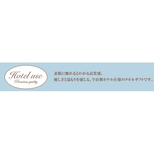 記念品の熨斗付タオルギフト 10個入