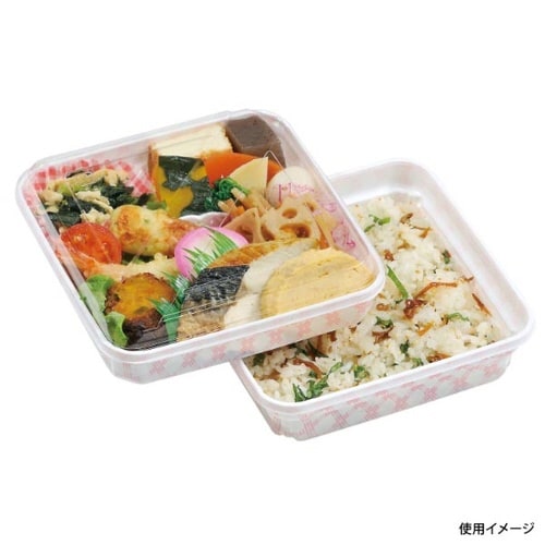 紗綾 R−53H チェック