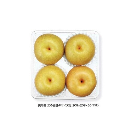 ニュートフルーツ K−81 新