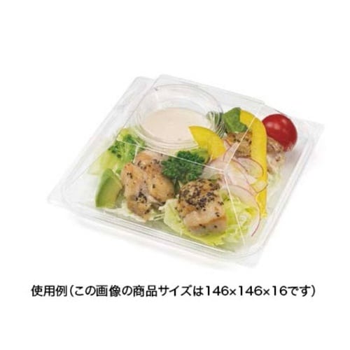 バイオ リファイン 13−16B