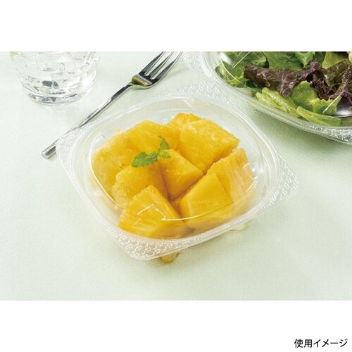 バイオ ハクリア 13−42B