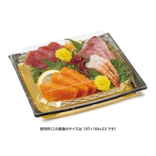 バイオ 枠越20−15B 箔つき金 J10