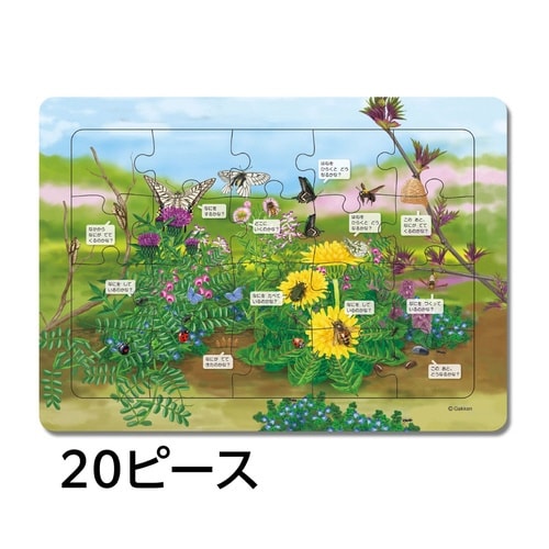はっけんパズル(むし)×3