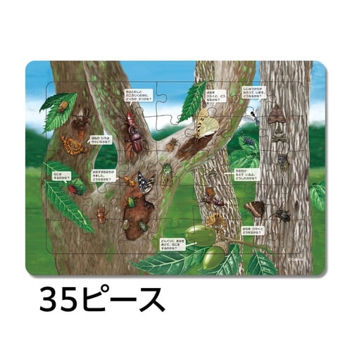 はっけんパズル(むし)×3