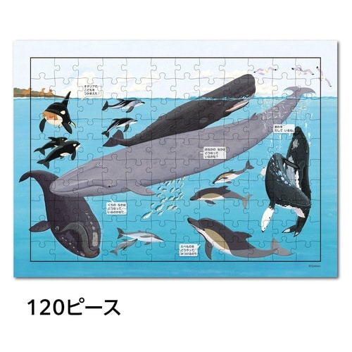 はっけんパズル(うみ)×3