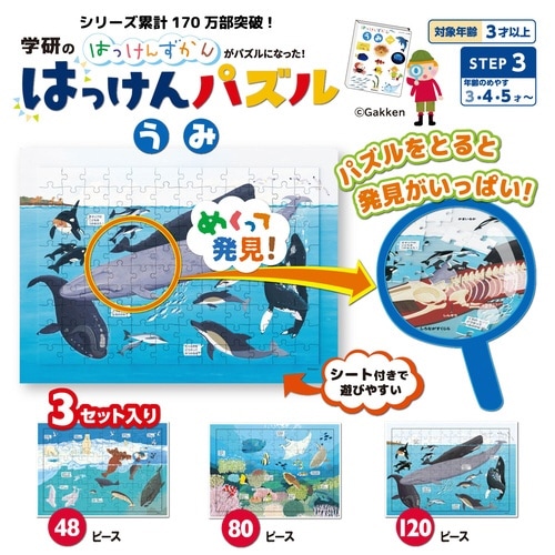 はっけんパズル(うみ)×3