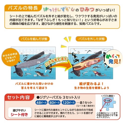 はっけんパズル(うみ)×3