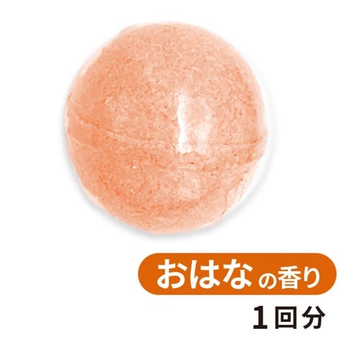 レオ・レオニ バスボール×20