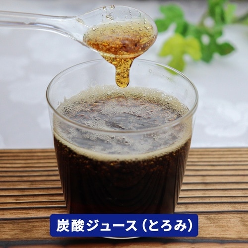 トロミーナ レギュラータイプ 400g 1ケース