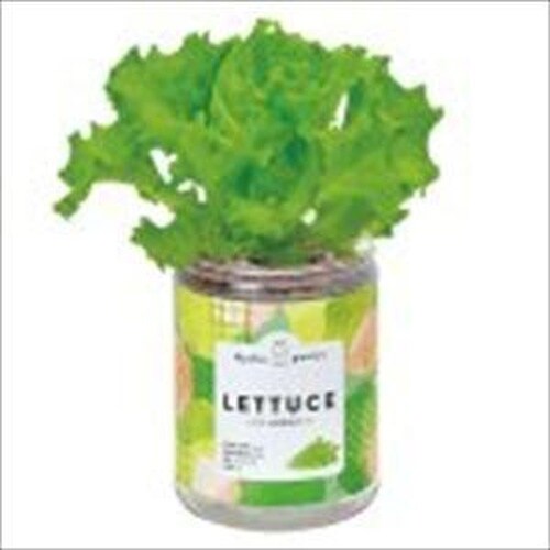 green pet レタス