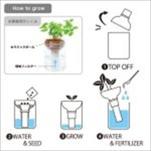 green pet ミニトマト
