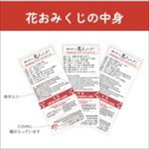 お芽でたかえる俳句おみくじ オレンジ