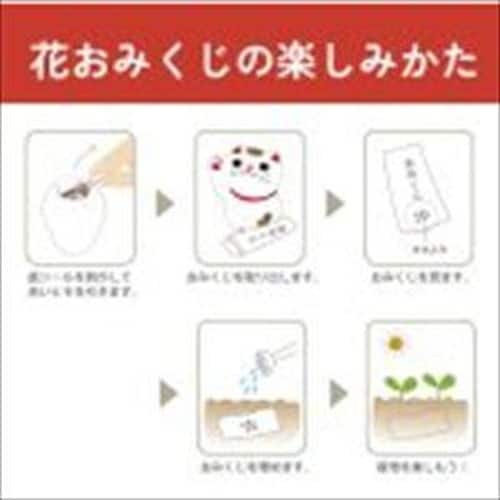 お芽でたおみくじ 縁起物 富士山 水色