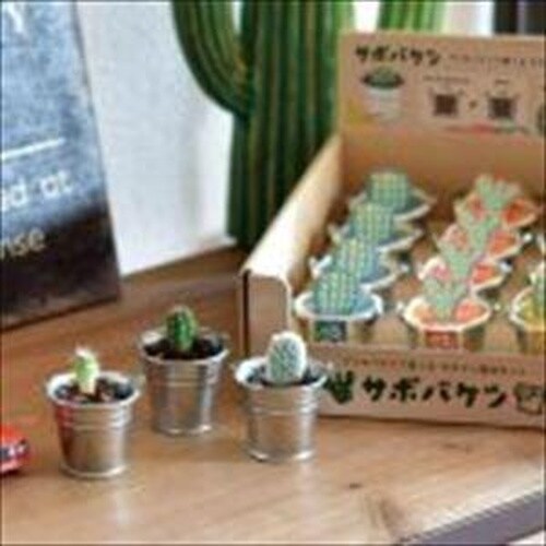 サボバケツ 栽培キット うちわサボテン