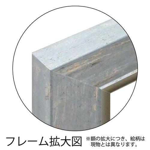 バラズス ショルティ「ラブリー レパード」