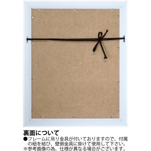バラズス ショルティ「ノーマル イズ ボアリング」
