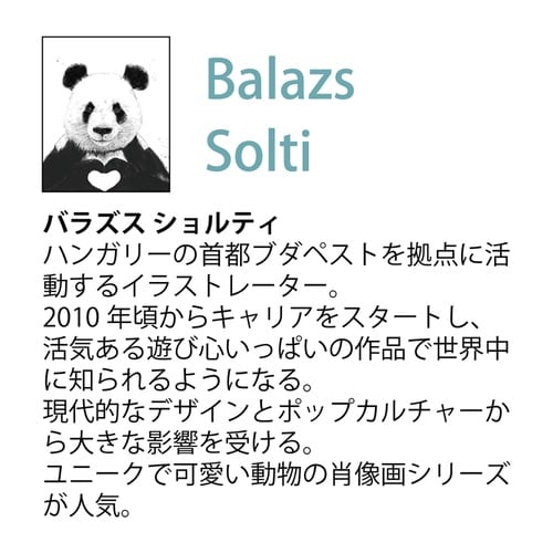 バラズス ショルティ「ノーマル イズ ボアリング」