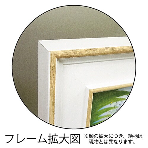 リサガス アートS「バラの上で」