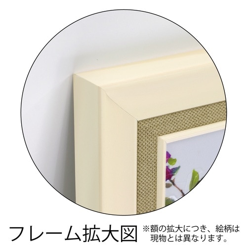 ジョー ラム「ダンシング イン ザ ウィンド」