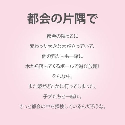 なかの まりの「都会の片隅で(S)」