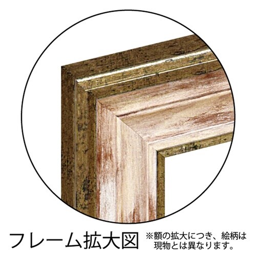シャーリー ノヴァック「マイ オーダシティ」