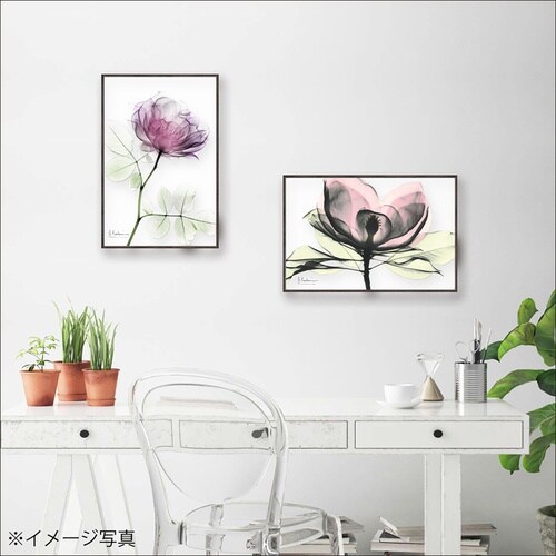 Xrayキャンバスアート「ラウンドローズ(S)」