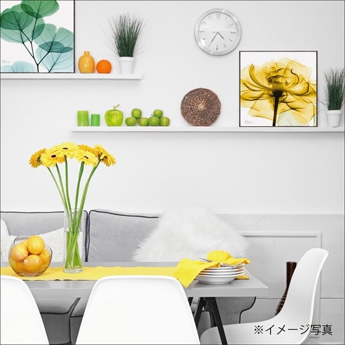 Xrayキャンバス「ゴールデンローズ スクエアS」