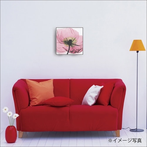 Xrayキャンバス「ピンクポピー スクエアS」