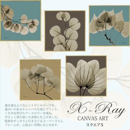 Xrayキャンバス「リーフブラウン1 スクエアS」