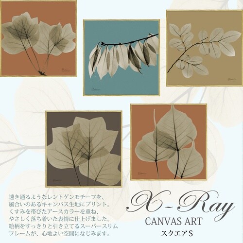 Xrayキャンバス「リーフオレンジ2 スクエアS」