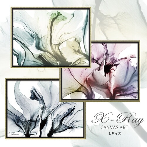 Xrayキャンバス「ファナティック(L)」