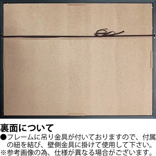 Xrayキャンバス「ファナティック(L)」