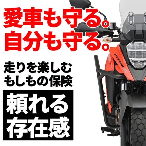 パイプエンジンガード Vストローム250SX(23