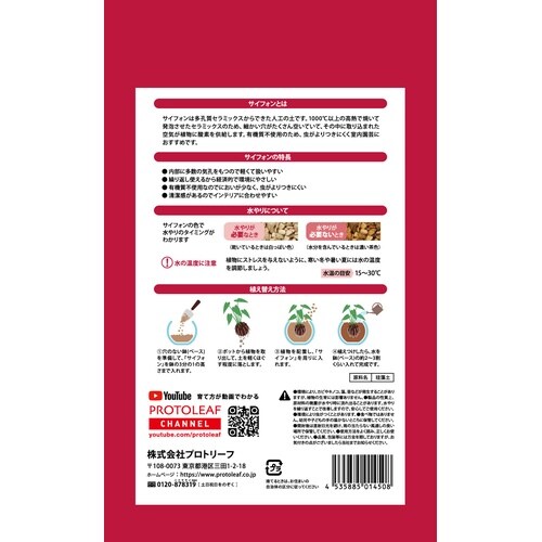 サイフォン 500ml