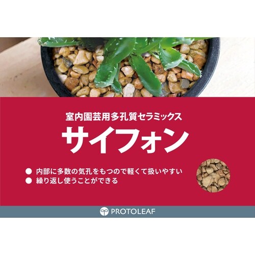 サイフォン 500ml